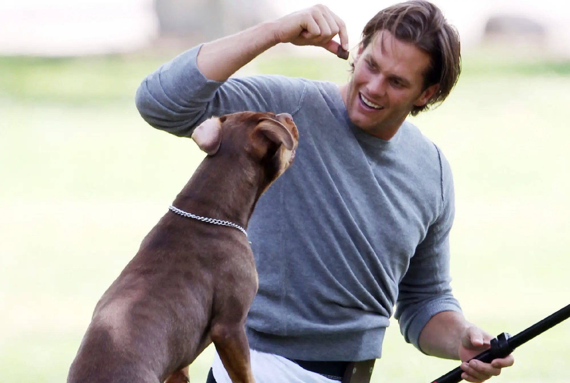 Tom Brady Shocks Fans: Reveals His Beloved Dog Junie Is a Clone Created by Colossal Biosciences